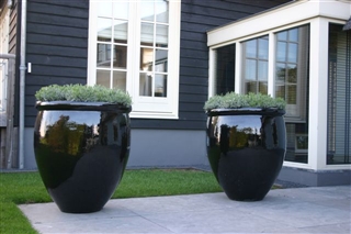 zwarte pot