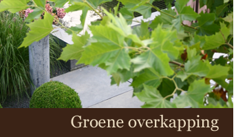 Groene overkapping